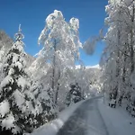 Anna Lejlighed Bad Gastein